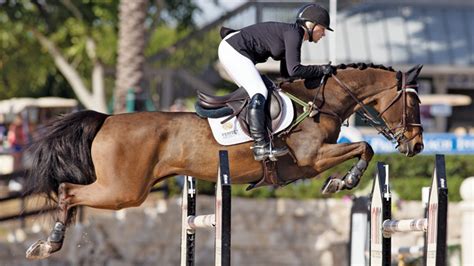 Marilyn Little: Just Another Fence All in a Day's Work